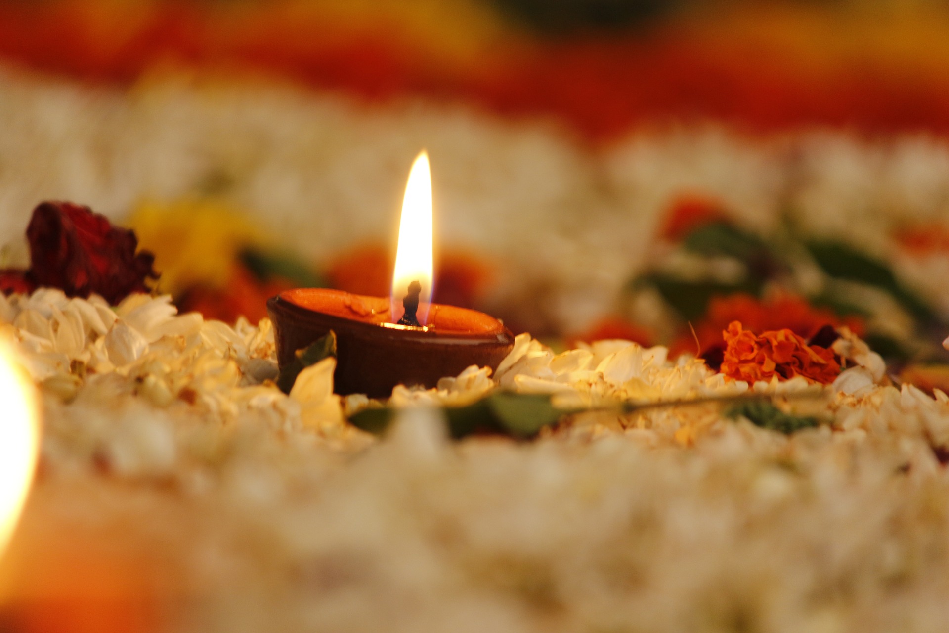 हमारी सेवाएँ